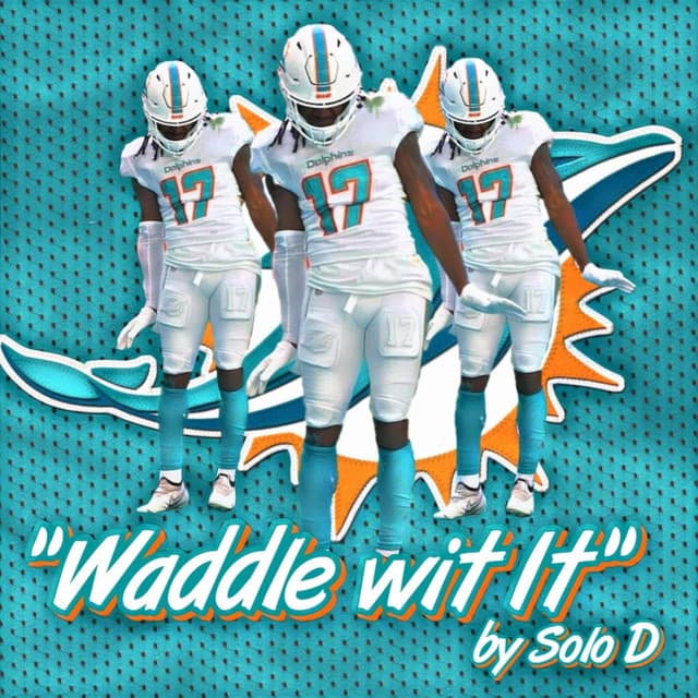 Miami Dolphins